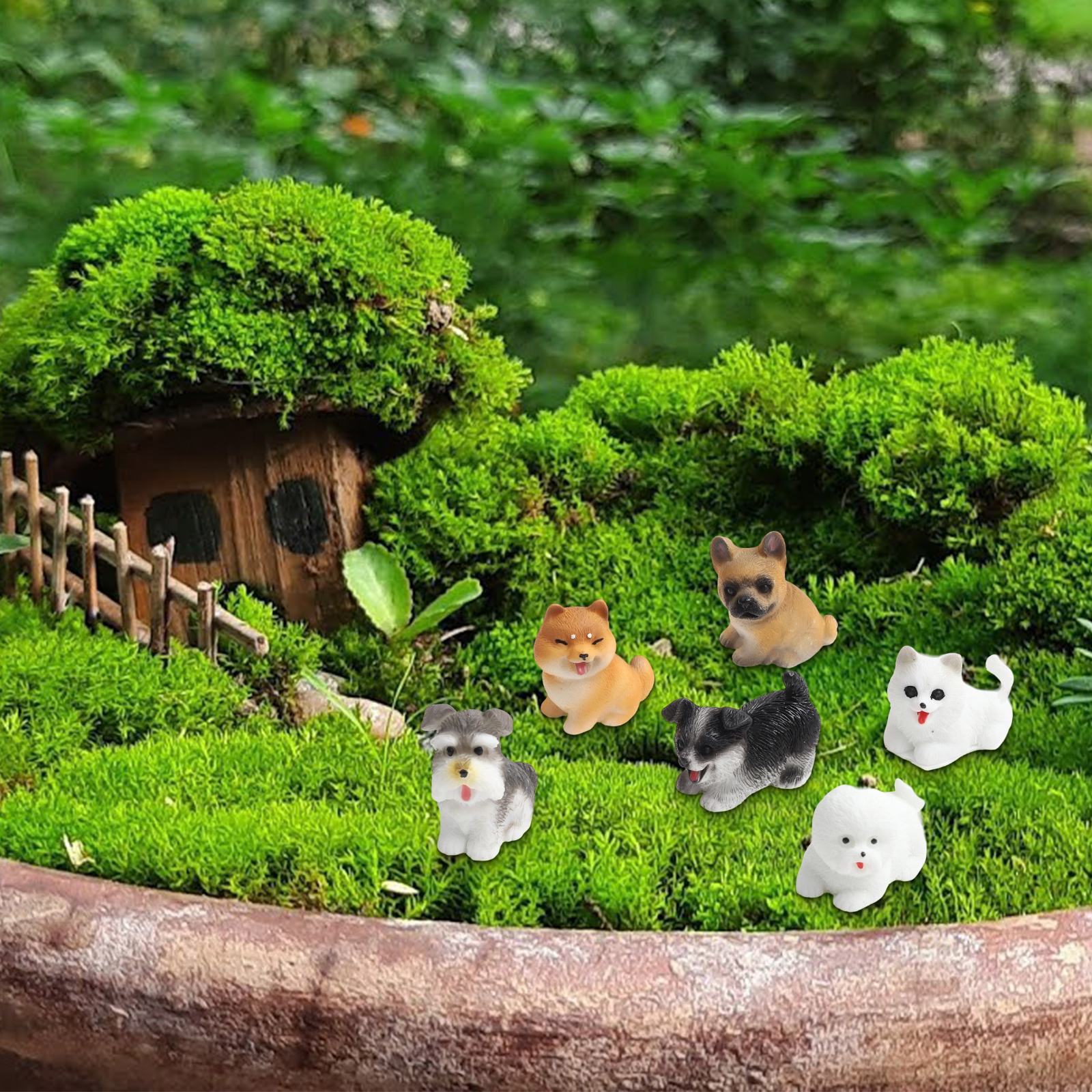 Fairy Garden Decor Miniature D - đánh giá và giá Bonsai Garden Set Up