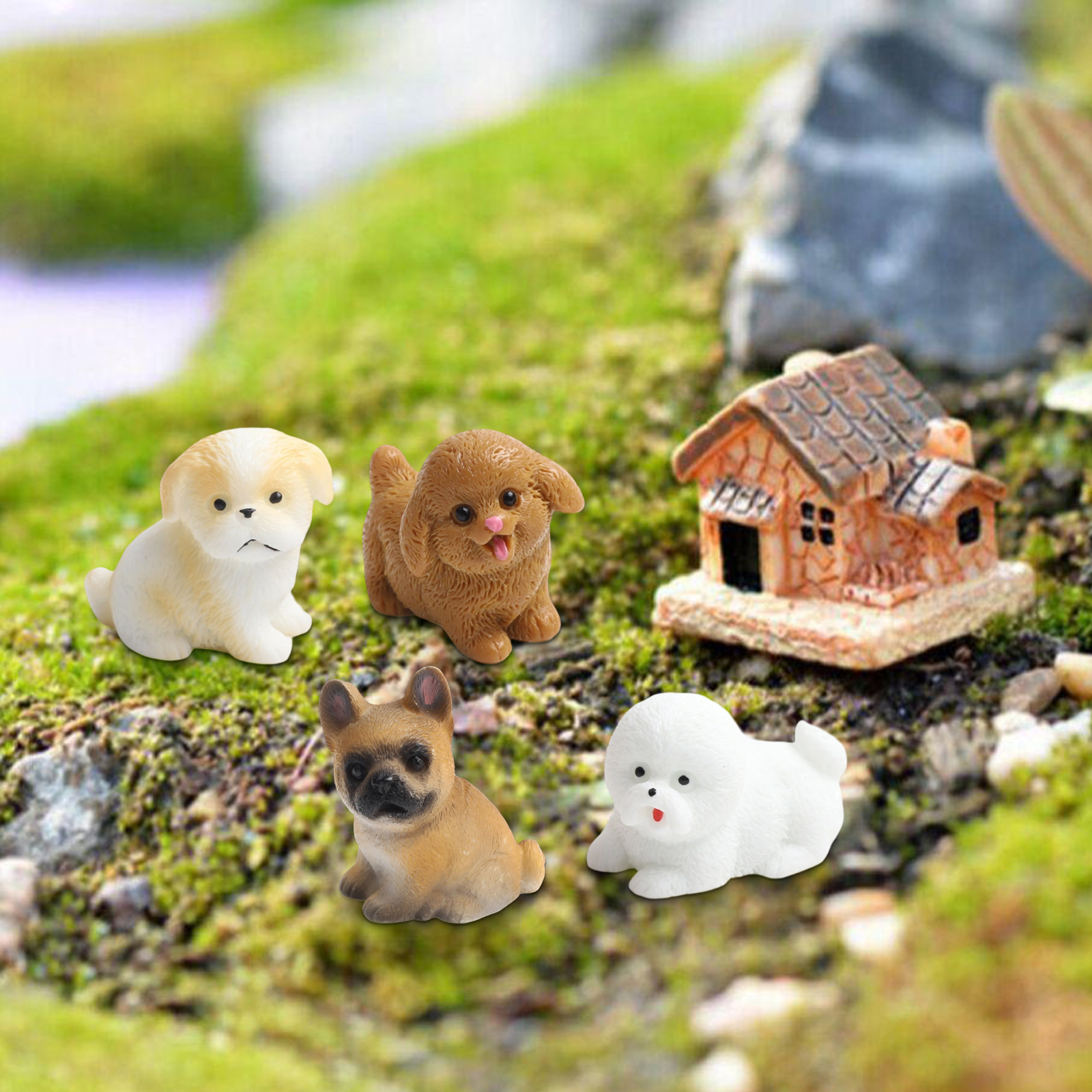 Fairy Garden Decor Miniature D - đánh giá và giá Bonsai Garden Set Up