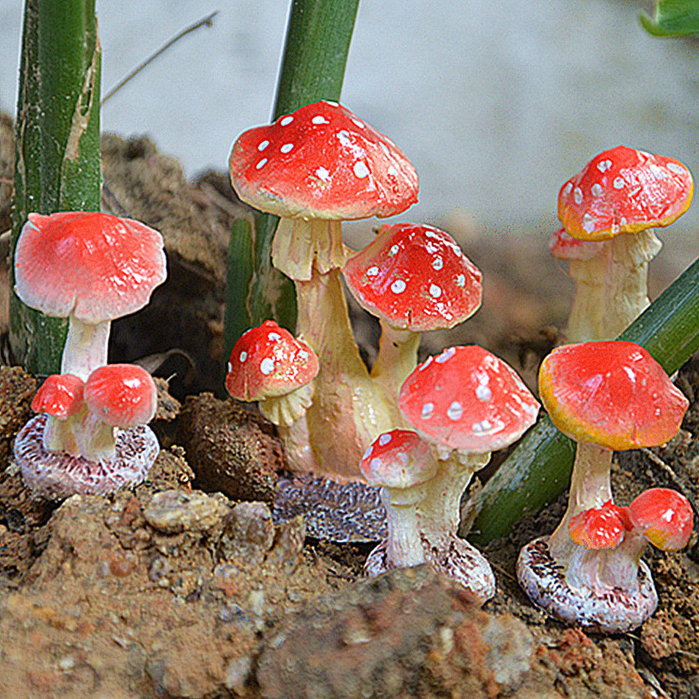 Mushroom Shaped Resin Garden O - đánh giá và giá Bonsai Garden Set Up