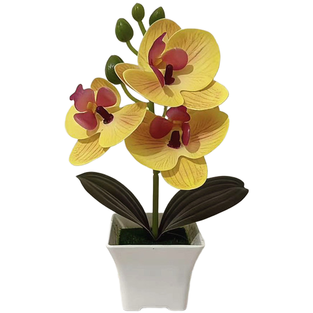 Plastic Phalaenopsis Orchid Fl - đánh giá và giá Bonsai Garden Set Up