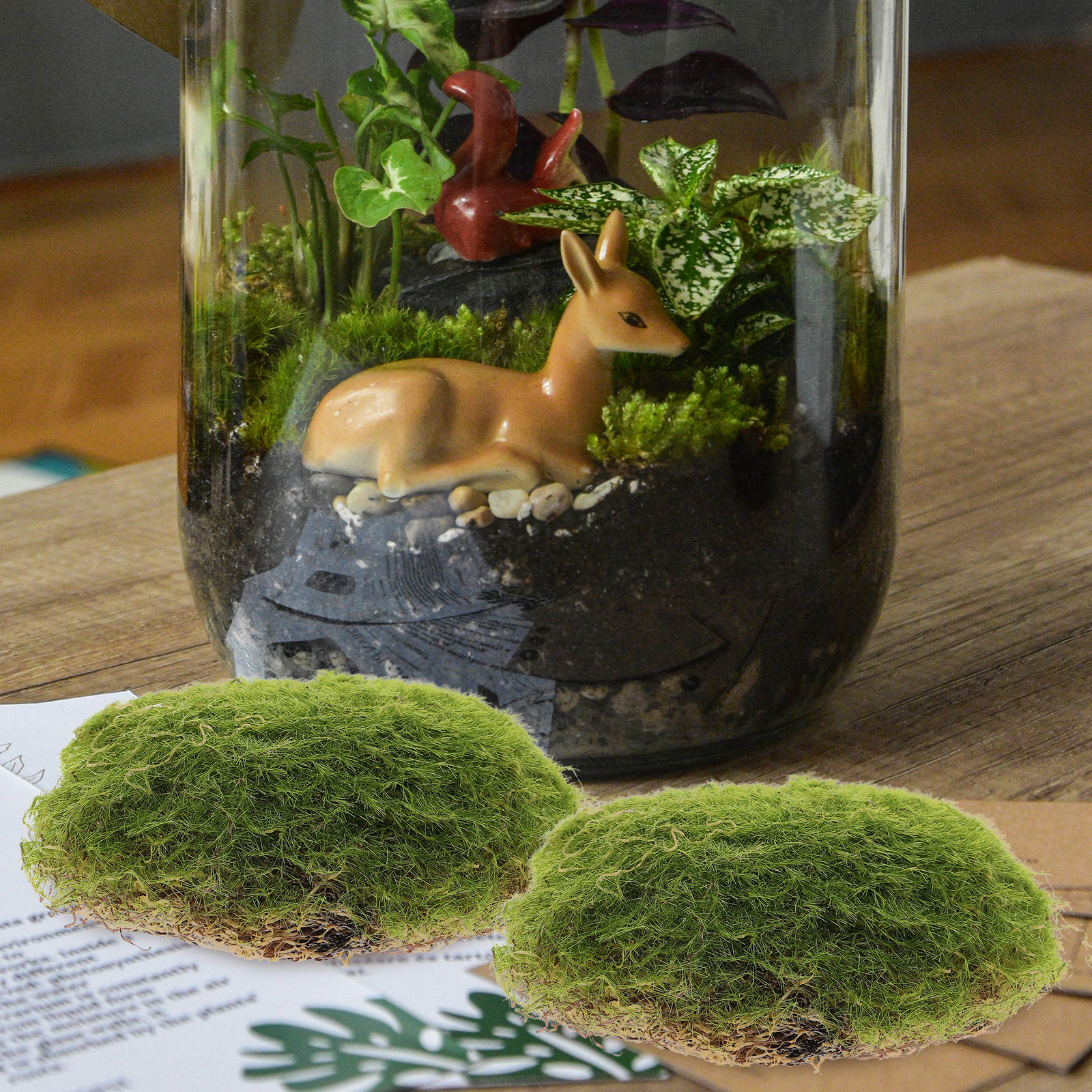 6Pcs Versatile Artificial Moss - đánh giá và giá Bonsai Garden Set Up